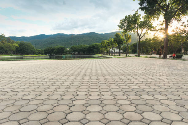 Paver Driveway Replacement in Princeton, MN